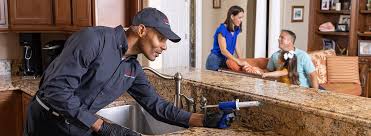 Best Termite Inspection and Treatment  in Dekal, IL